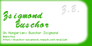 zsigmond buschor business card